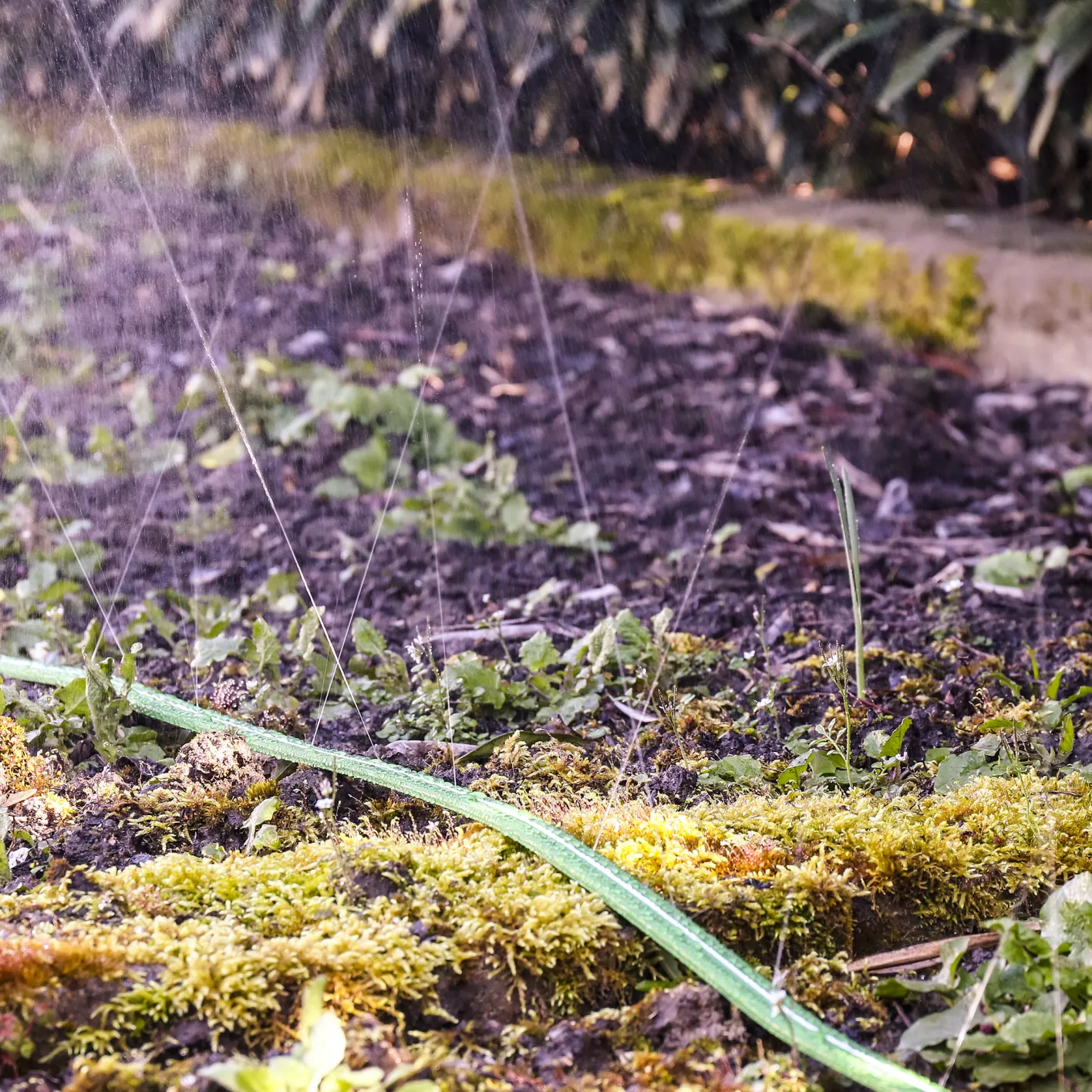 GRÜNTEK Schlauch-Regner, Sprühschlauch, Rasensprenger Gartenschlauch 7,5 m, Beregnungsfläche 4-5 m², Länge flexibel erweiterbar, Bewässerungsschlauch/Sprühregner mit Verbindungsstück aus Messing