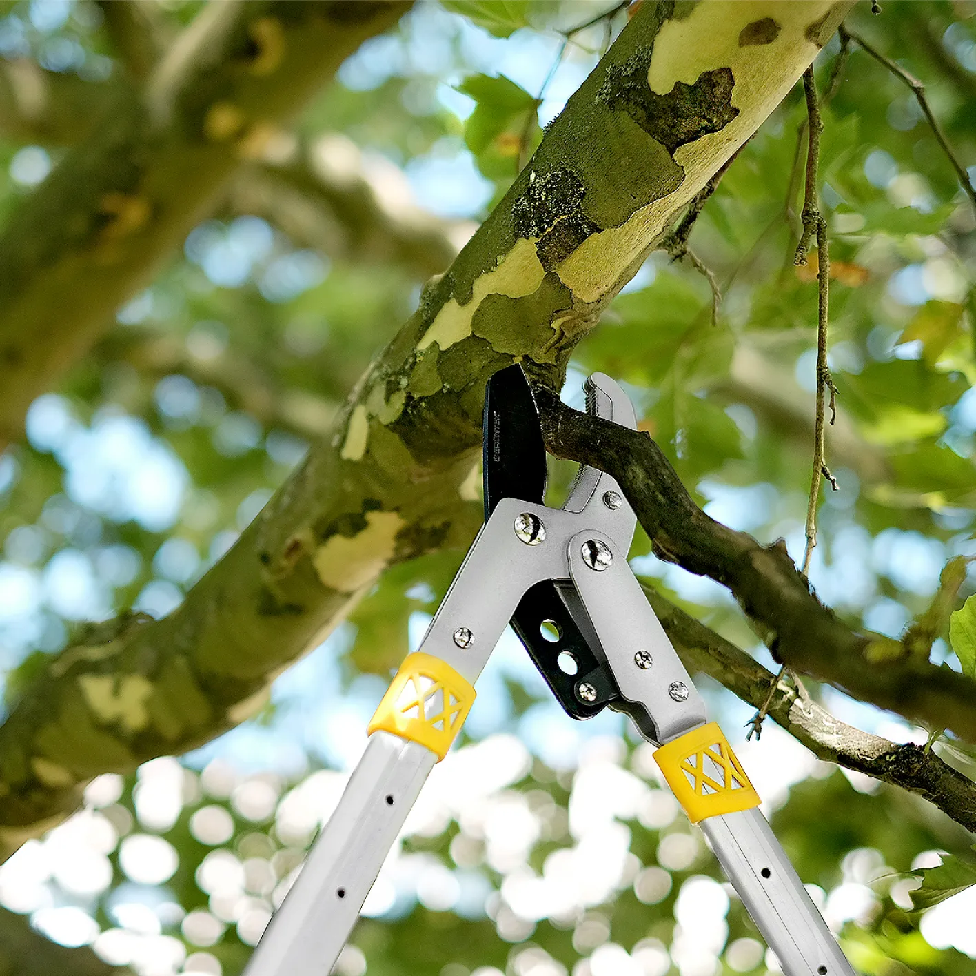 GRÜNTEK Teleskop AMBOSS-Astschere XT 685-1015 mm