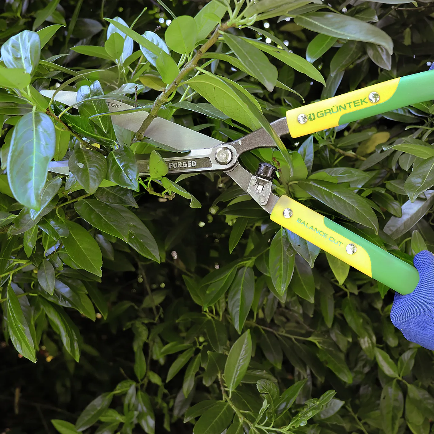 GRÜNTEK Heckenschere 600 mm, Q-23 Strauchschere