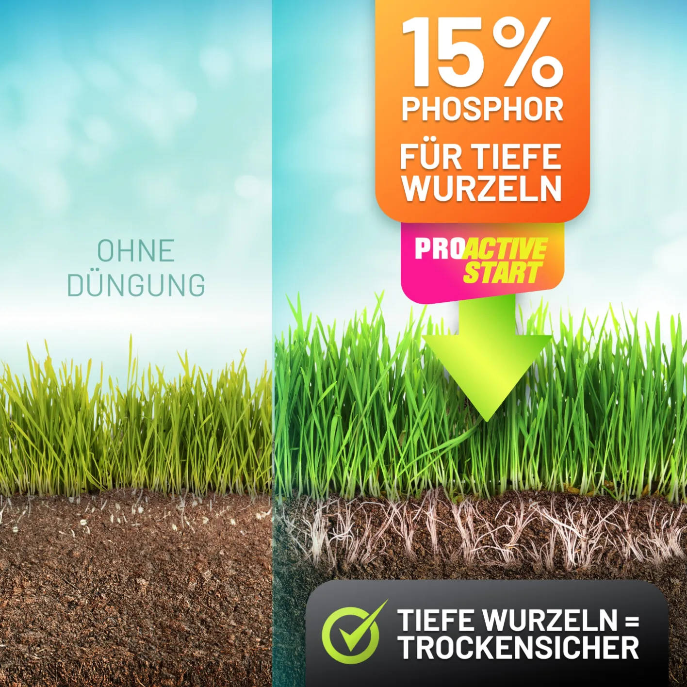 GRÜNTEK Dünger ProActive START