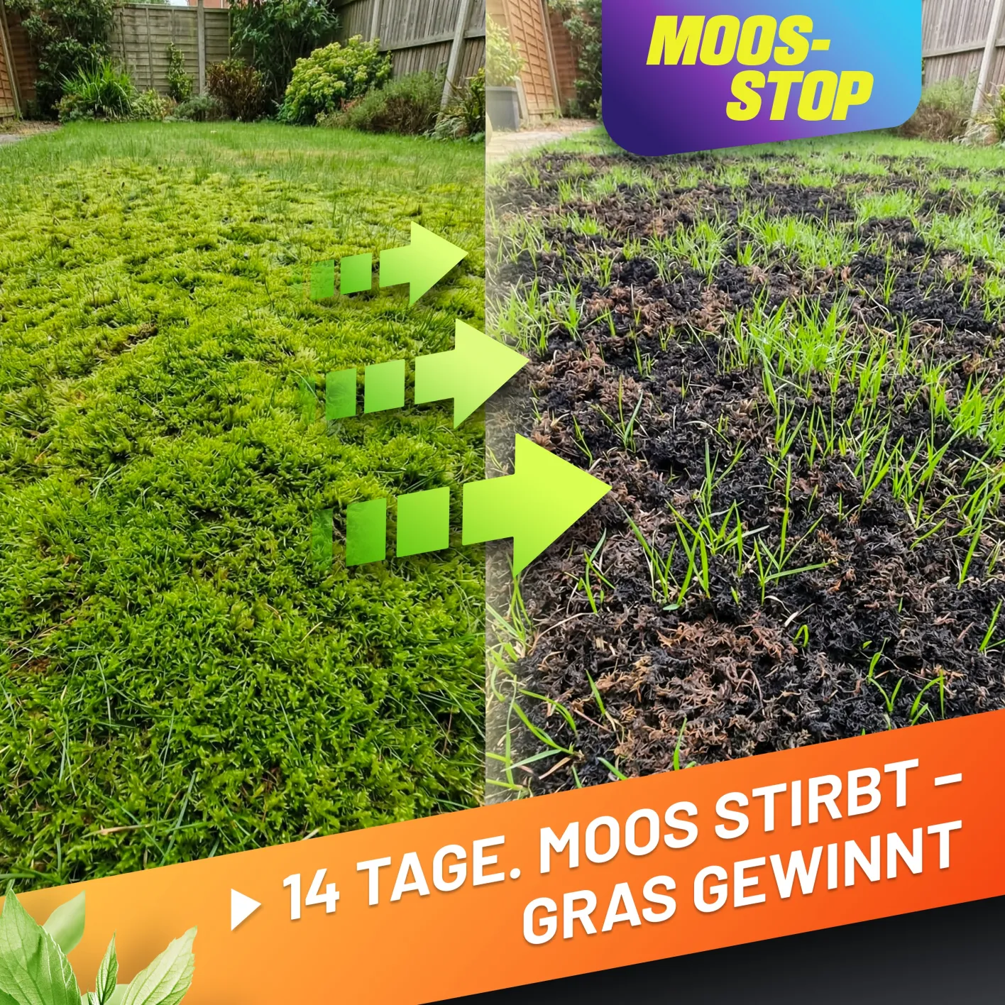 GRÜNTEK Dünger Moos-Stop