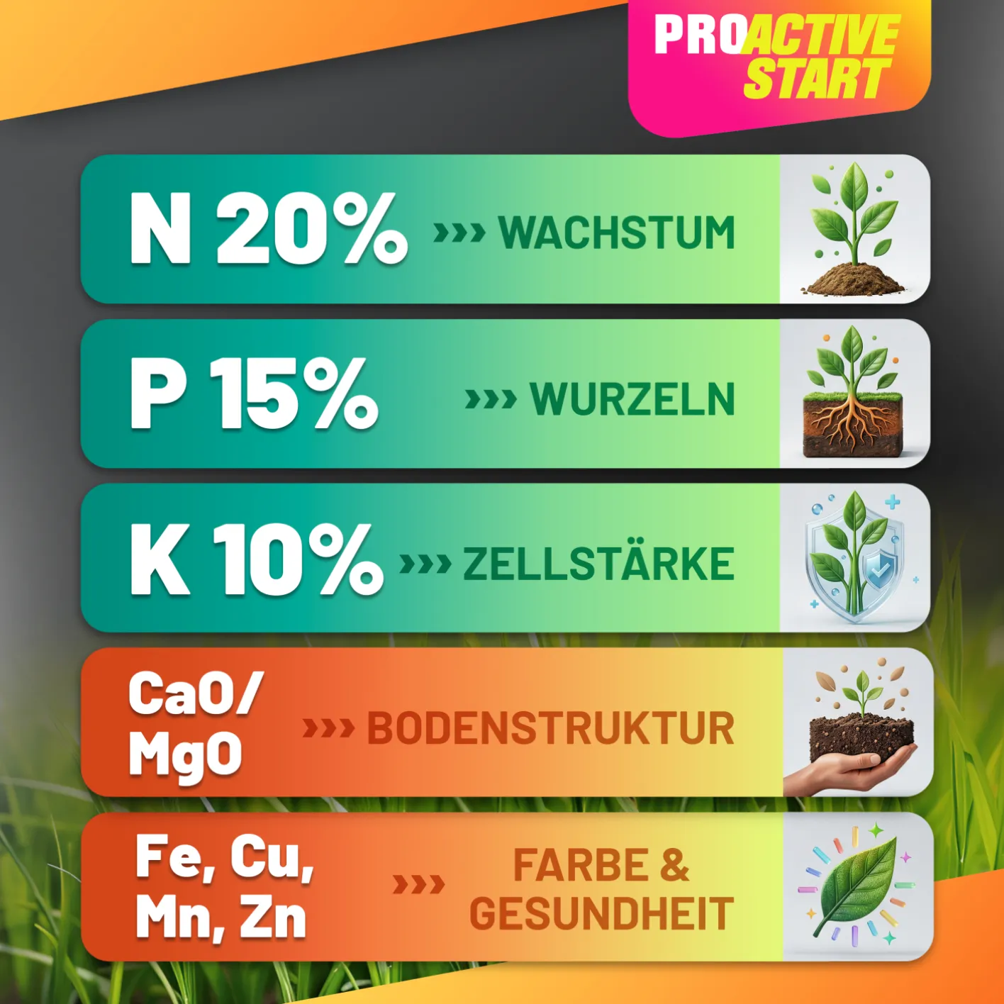 GRÜNTEK Dünger ProActive START