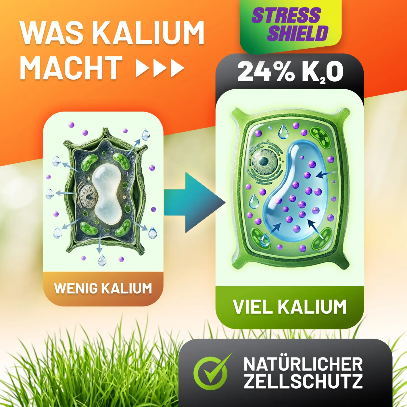 GRÜNTEK Dünger Stress-Shield