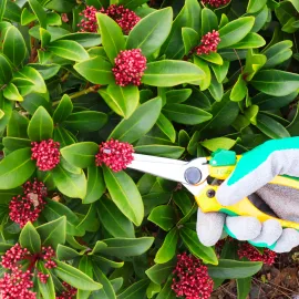 Gruentek Gartenwerkzeuge Produkt Bild