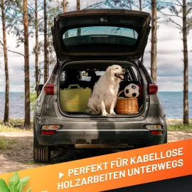 GRÜNTEK Akku-Kettensäge, Bild von einem Auto mit offenem Kofferraum, in dem der Koffer des Sets steht. Ein Hund sitzt daneben. Das Bild soll die mobilen Einsatzmöglichkeiten der Akku-Säge verdeutlichen