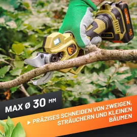 GRÜNTEK Akku-Astschere, Bild zeigt einen Ast und die gehaltene Schere kurz vor dem Schnitt