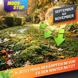 GRÜNTEK Dünger Moos-Stop